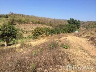 For sale land in Pai, Mae Hong Son