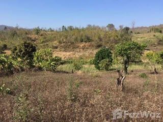 For sale land in Pai, Mae Hong Son