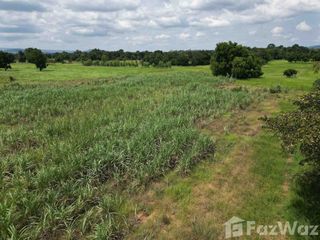 For sale land in Phatthana Nikhom, Lopburi