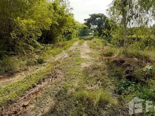 For sale land in Mueang Ratchaburi, Ratchaburi