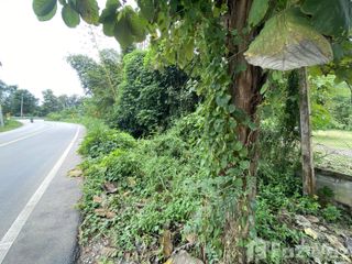 For sale land in Mueang Loei, Loei