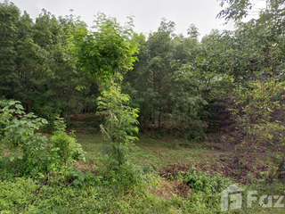 For sale land in Pak Chom, Loei