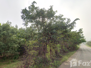 For sale land in Pak Chom, Loei