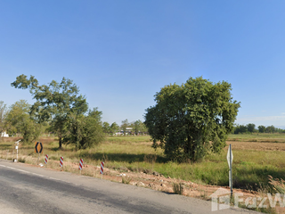 For sale land in Wang Sai Phun, Phichit