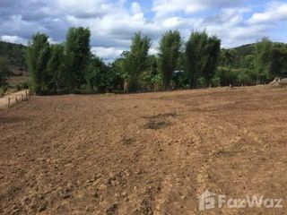 For sale land in Pai, Mae Hong Son