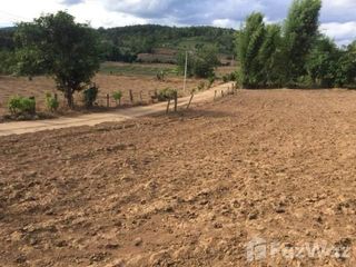 For sale land in Pai, Mae Hong Son