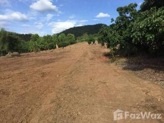 For sale land in Pai, Mae Hong Son