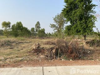 For sale land in Wat Sing, Chainat