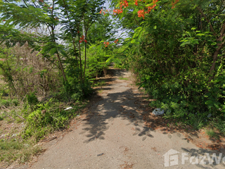 For sale land in Phatthana Nikhom, Lopburi