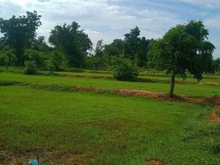 For sale land in Khon Sawan, Chaiyaphum