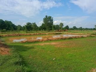 For sale land in Khon Sawan, Chaiyaphum
