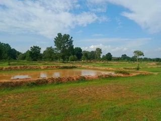 For sale land in Khon Sawan, Chaiyaphum