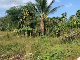 For sale land in Chiang Khan, Loei
