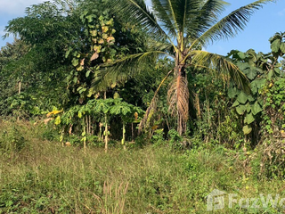 For sale land in Chiang Khan, Loei
