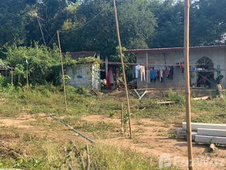 For sale land in Chiang Khan, Loei