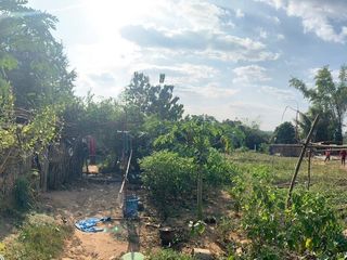 For sale land in Chiang Khan, Loei