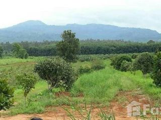 For sale land in Dan Sai, Loei