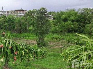 For sale land in Dan Sai, Loei