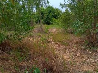 For sale land in Mueang Chaiyaphum, Chaiyaphum