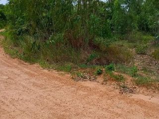 For sale land in Mueang Chaiyaphum, Chaiyaphum