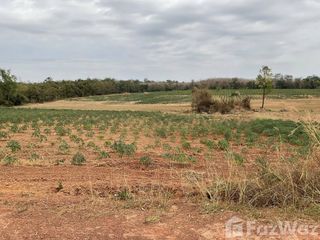 For sale land in Sakhrai, Nong Khai