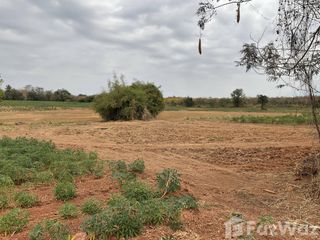 For sale land in Sakhrai, Nong Khai