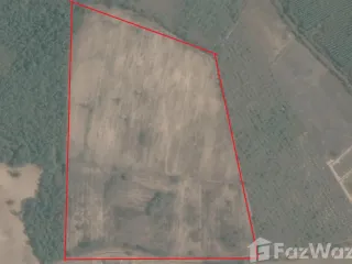 For sale land in Sakhrai, Nong Khai