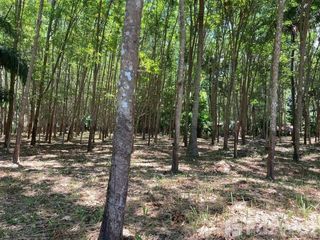 For sale land in Ko Yao, Phang Nga