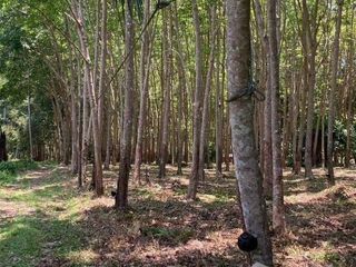 For sale land in Ko Yao, Phang Nga