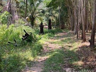 For sale land in Ko Yao, Phang Nga