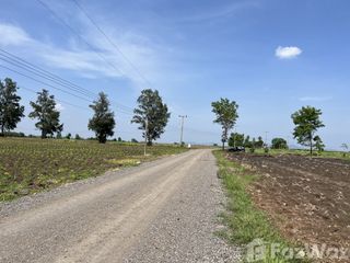 For sale land in Nong Muang, Lopburi