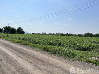 For sale land in Nong Muang, Lopburi