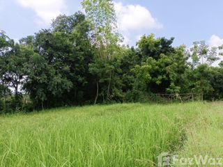 For sale land in Sikhio, Nakhon Ratchasima