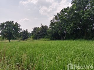 For sale land in Sikhio, Nakhon Ratchasima