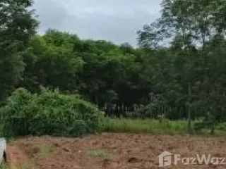 For sale land in Pak Chom, Loei