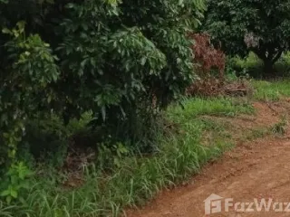 For sale land in Pak Chom, Loei