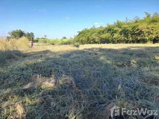 For sale land in Phu Kradueng, Loei