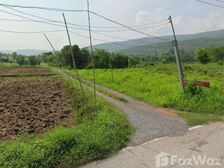 For sale land in Phu Kradueng, Loei