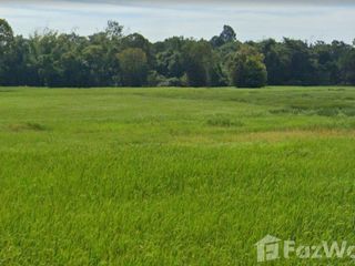 ขาย ที่ดิน ใน ตระการพืชผล, อุบลราชธานี