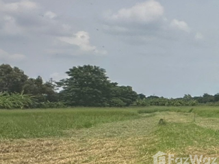 ขาย ที่ดิน ใน บางแพ, ราชบุรี