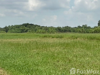 ขาย ที่ดิน ใน บางแพ, ราชบุรี