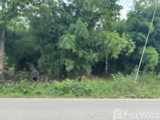 For sale land in Pak Tho, Ratchaburi