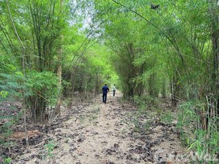 For sale land in Pak Tho, Ratchaburi