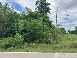 For sale land in Pak Tho, Ratchaburi
