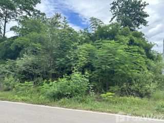 For sale land in Pak Tho, Ratchaburi
