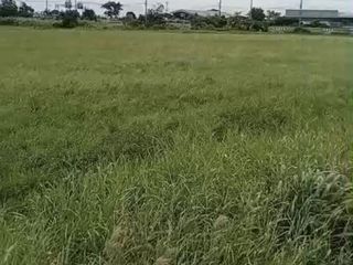 For sale land in Bang Pa-in, Phra Nakhon Si Ayutthaya