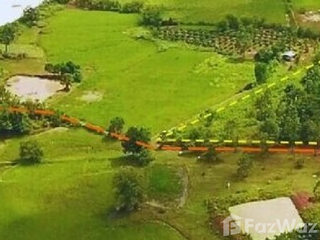 For sale land in Tha Li, Loei