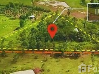 For sale land in Tha Li, Loei