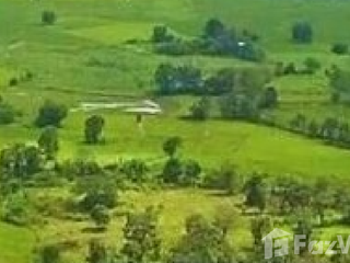 For sale land in Tha Li, Loei
