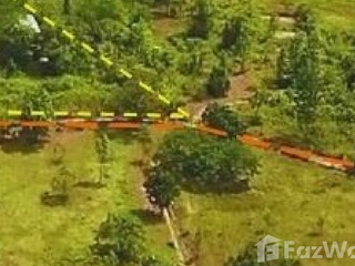 For sale land in Tha Li, Loei
